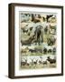 Some Wild Animals of the World-null-Framed Giclee Print