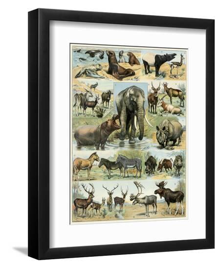 Premium Giclee Print, , large