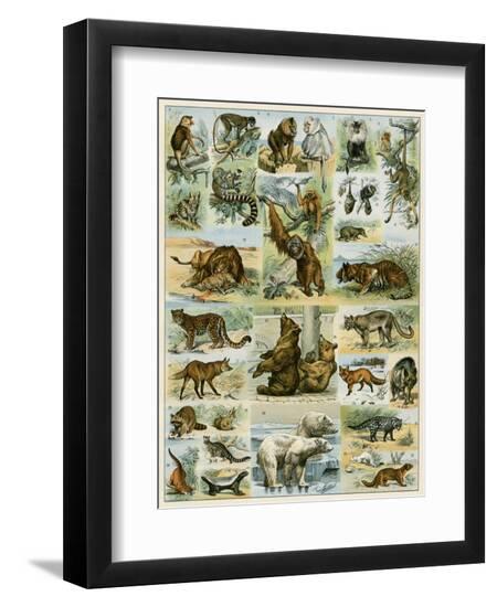Premium Giclee Print, , large
