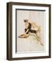 Somebody's Cup of Tea-David Wright-Framed Art Print