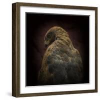 Somebody Watch Me-Savanna Hawk-Ferdinando Valverde-Framed Photographic Print