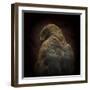 Somebody Watch Me-Savanna Hawk-Ferdinando Valverde-Framed Photographic Print