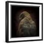 Somebody Watch Me-Savanna Hawk-Ferdinando Valverde-Framed Photographic Print