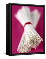 Somen (Wheat Noodles from Japan)-Marc O^ Finley-Framed Stretched Canvas