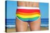 Someone Wearing a Rainbow Swimsuit on the Beach-nito-Stretched Canvas