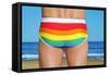 Someone Wearing a Rainbow Swimsuit on the Beach-nito-Framed Stretched Canvas