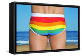 Someone Wearing a Rainbow Swimsuit on the Beach-nito-Framed Stretched Canvas