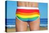 Someone Wearing a Rainbow Swimsuit on the Beach-nito-Stretched Canvas