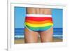 Someone Wearing a Rainbow Swimsuit on the Beach-nito-Framed Premium Photographic Print