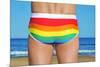 Someone Wearing a Rainbow Swimsuit on the Beach-nito-Mounted Premium Photographic Print