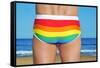 Someone Wearing a Rainbow Swimsuit on the Beach-nito-Framed Stretched Canvas