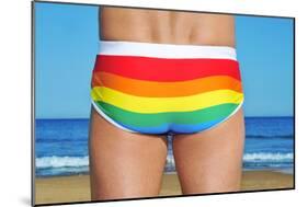 Someone Wearing a Rainbow Swimsuit on the Beach-nito-Mounted Photographic Print