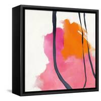 Somersault II-Mike Schick-Framed Stretched Canvas