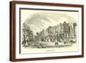 Brown Frame
