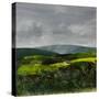 Somerset Landscape, 2023 (Paint on Paper)-Sarah Thompson-Engels-Stretched Canvas