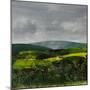 Somerset Landscape, 2023 (Paint on Paper)-Sarah Thompson-Engels-Mounted Giclee Print