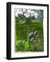 Somerset Landscape-Sarah Thompson-Engels-Framed Giclee Print