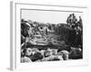 Somerset Sheep Sale-null-Framed Photographic Print
