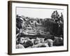 Somerset Sheep Sale-null-Framed Photographic Print