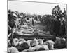 Somerset Sheep Sale-null-Mounted Photographic Print