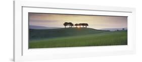 Somerset Sunrise-David Noton-Framed Art Print