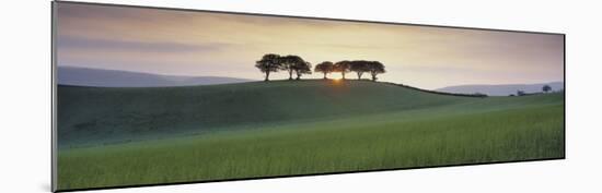 Somerset Sunrise-David Noton-Mounted Art Print