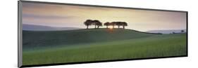 Somerset Sunrise-David Noton-Mounted Art Print