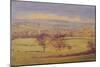 Somerset Trees, 2023 (Oil on Canvas)-Antonia Myatt-Mounted Giclee Print