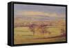 Somerset Trees, 2023 (Oil on Canvas)-Antonia Myatt-Framed Stretched Canvas