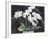 Something Floral VII-Samuel Dixon-Framed Art Print