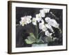 Something Floral VII-Samuel Dixon-Framed Art Print