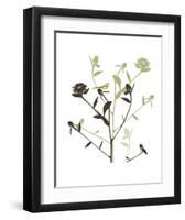 Something in the Air-Erin Clark-Framed Art Print