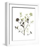 Something in the Air-Erin Clark-Framed Art Print