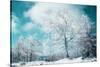 Sometimes the Dream is Real-Philippe Sainte-Laudy-Stretched Canvas