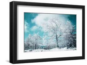 Sometimes the Dream is Real-Philippe Sainte-Laudy-Framed Photographic Print