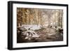 Sometimes the World is Perfect-Philippe Sainte-Laudy-Framed Photographic Print