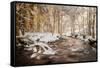 Sometimes the World is Perfect-Philippe Sainte-Laudy-Framed Stretched Canvas