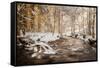 Sometimes the World is Perfect-Philippe Sainte-Laudy-Framed Stretched Canvas