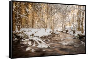 Sometimes the World is Perfect-Philippe Sainte-Laudy-Framed Stretched Canvas