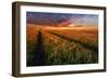 Somewhere At Sunset-Piotr Krol (Bax)-Framed Photographic Print