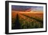 Somewhere At Sunset-Piotr Krol (Bax)-Framed Photographic Print