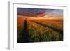 Somewhere At Sunset-Piotr Krol (Bax)-Framed Photographic Print