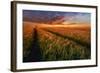 Somewhere At Sunset-Piotr Krol (Bax)-Framed Photographic Print