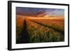 Somewhere At Sunset-Piotr Krol (Bax)-Framed Photographic Print