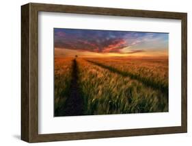 Somewhere At Sunset-Piotr Krol (Bax)-Framed Photographic Print