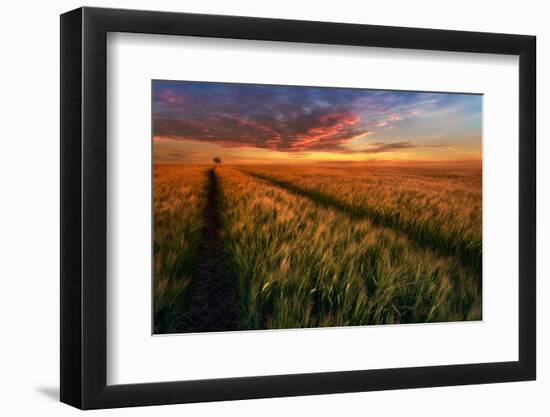 Somewhere At Sunset-Piotr Krol (Bax)-Framed Photographic Print