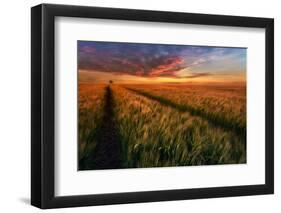 Somewhere At Sunset-Piotr Krol (Bax)-Framed Photographic Print