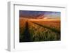 Somewhere At Sunset-Piotr Krol (Bax)-Framed Photographic Print