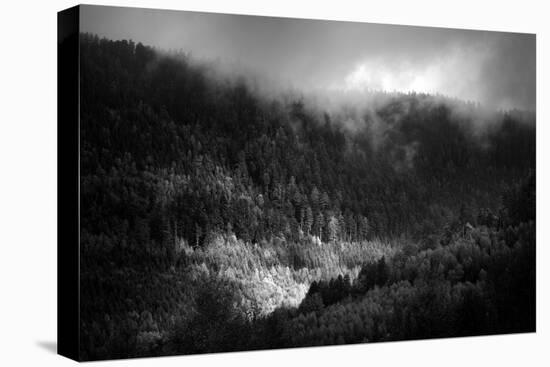 Somewhere We Belong-Philippe Sainte-Laudy-Stretched Canvas