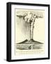 Somma and Vesuvius, the One Encircling the Other-null-Framed Giclee Print